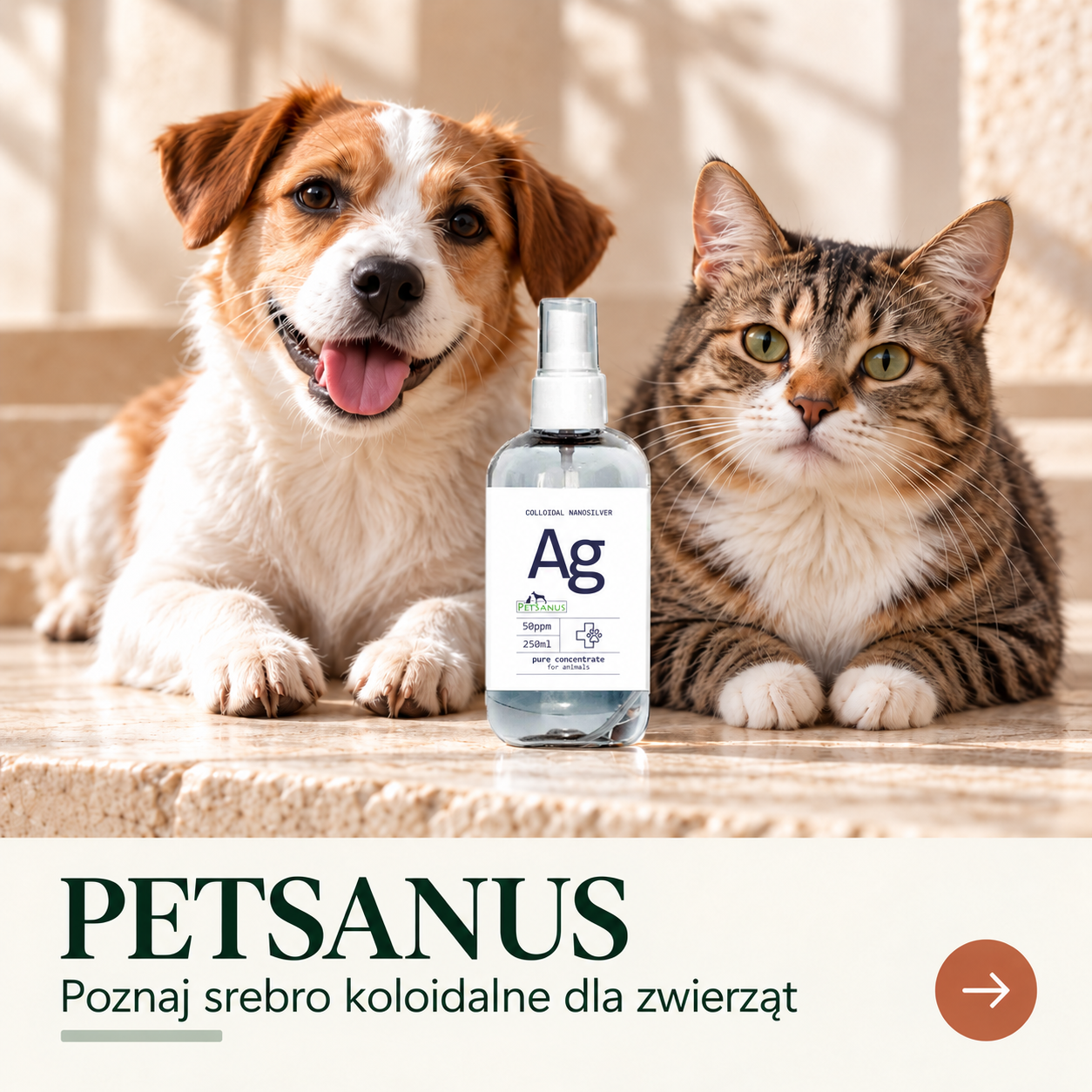 srebro petsanus srebro petsanus